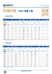 数据月报·2021年第1期