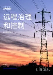 新形势刊物系列：远程治理和控制