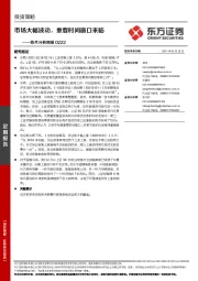 技术分析周报：市场大幅波动，重要时间窗口来临