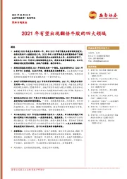 策略专题报告：2021年有望出现翻倍牛股的四大领域