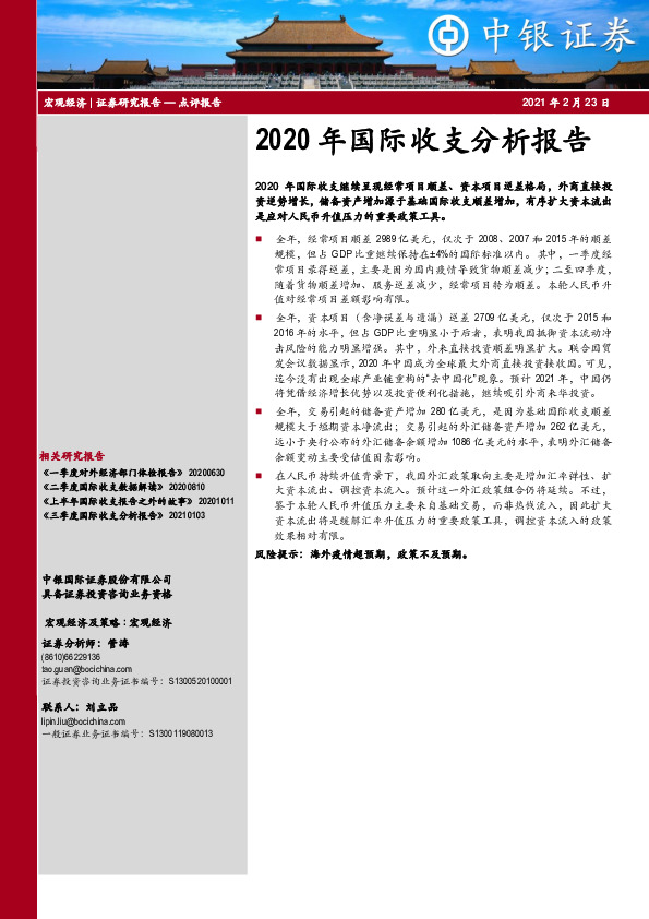 2020年国际收支分析报告