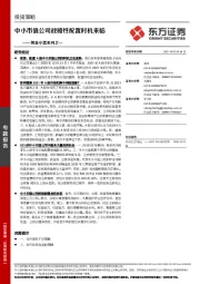 黄金小票系列之一：中小市值公司战略性配置时机来临