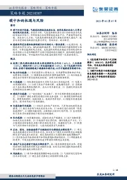 策略专题:碳中和的机遇与风险