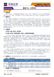 策略日报：量能不足，反弹受阻