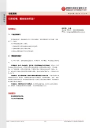 专题策略：印度疫情，哪些板块受益？