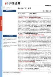 投资策略专题：国企的破“净”重圆