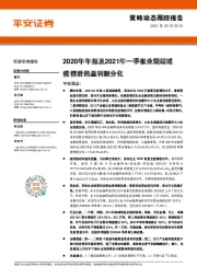 2020年年报及2021年一季报业绩综述：疫情后的盈利新分化