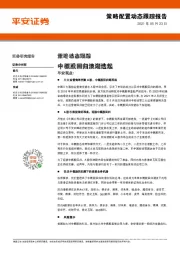 策略动态跟踪：中概股回归浪潮迭起