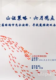 山证策略·六月观点：震荡结构市充分演绎，寻找戴维斯双击机会