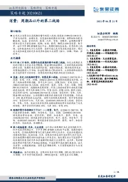 策略专题：消费：周期品以外的第二战场
