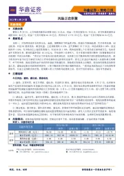 策略日报：风险正在积聚