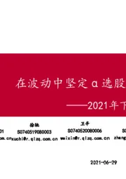 2021年下半年投资策略报告：在波动中坚定α选股思路