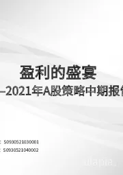 2021年A股策略中期报告：盈利的盛宴