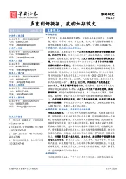 市场点评：多重利好提振，波动如期放大