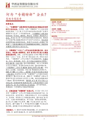 策略专题报告：何为“专精特新”企业？
