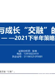 2021下半年策略：把握周期与成长“交融”的时代机遇