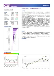 越南股市日评