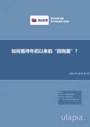 策略点评报告：如何看待年初以来的“回购潮”？
