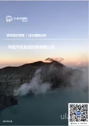 华晨汽车集团控股有限公司债券违约案例分析