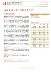 海外策略周报：本周美国大型科技股走势分化