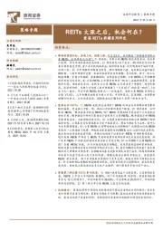 重温REITs前瞻系列研究：REITs大涨之后，机会何在？