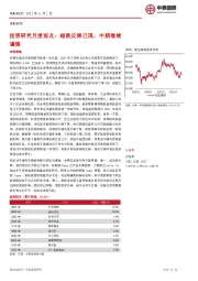 投资研究月度观点：超跌反弹已现，中期继续谨慎