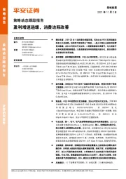 策略动态跟踪报告：盈利增速趋缓，消费边际改善