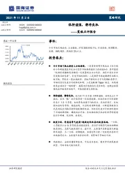 策略点评报告：保持谨慎，静待良机