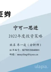 2022年度投资策略：宁可一思进