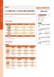 收盘综述：三大指数齐跌，华为欧拉概念表现强势