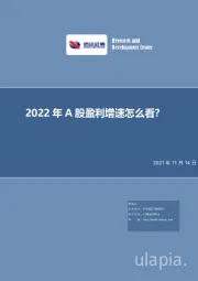 策略深度报告：2022年A股盈利增速怎么看？