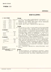 市场策略（日）：整理不改反弹势头