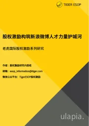 股权激励系列研究：股权激励构筑新浪微博人才力量护城河