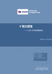 2022年年度策略报告：V型大震荡