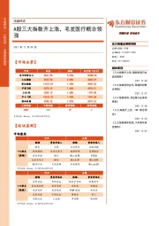 收盘综述：A股三大指数齐上涨，毛发医疗概念领涨