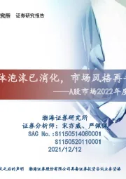 A股市场2022年度投资策略报告：整体泡沫已消化，市场风格再平衡