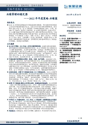 2022年年度策略-业绩篇：业绩零增的稳定器