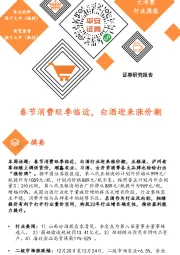大消费行业周报：春节消费旺季临近，白酒迎来涨价潮