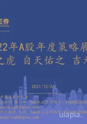 2022年A股年度策略展望：过林之虎 自天佑之 吉无不利