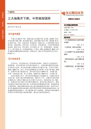 午盘解读：三大指数齐下跌，中药表现强势