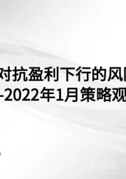 2022年1月策略观点：如何对抗盈利下行的风险