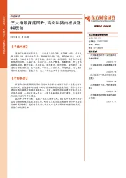 午盘解读：三大指数探底回升，鸡肉和猪肉板块涨幅居前