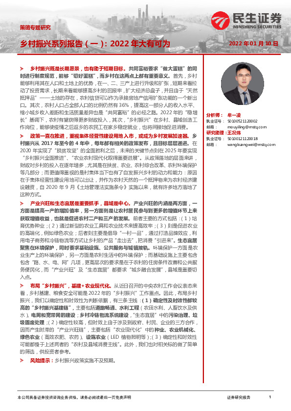 乡村振兴系列报告（一）：2022年大有可为