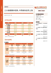 收盘综述：三大指数集体收跌，中药板块逆市上涨