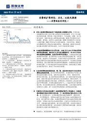 消费税系列研究一：消费税扩围研究：历史、比较及推演