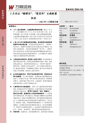 2022年2月策略月报：2月关注“稳增长”、“宽信用”主线配置机会