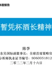 策略年度报告：暂凭杯酒长精神