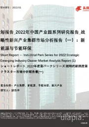 短报告_2022年中国产业园系列研究报告_战略性新兴产业集群市场分析报告（一）：新能源与节能环保