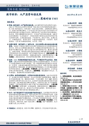策略对话TMT:数字经济:从严监管向谋发展