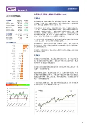 越南股市日评